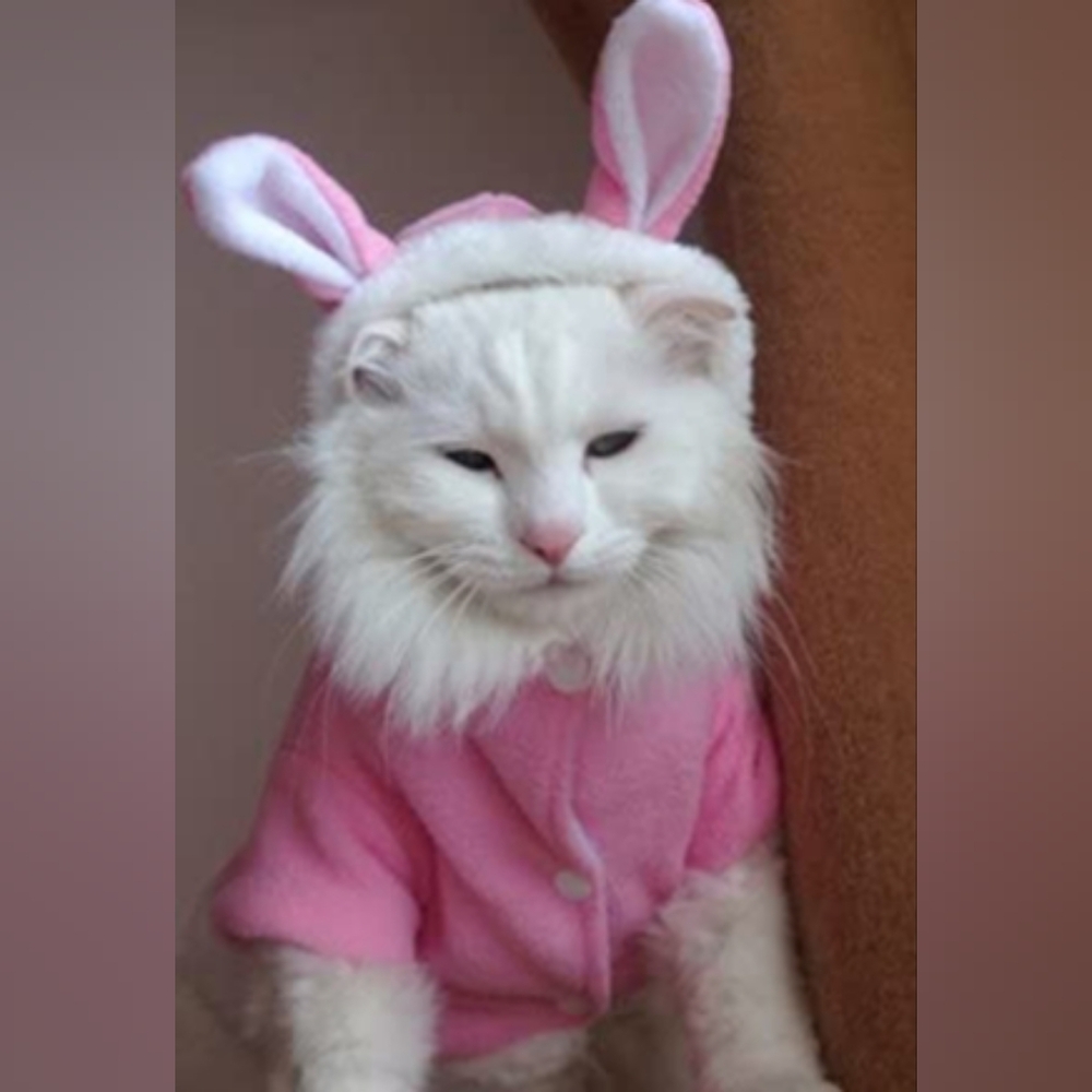 🆕Cute Pink🩷Bunny Ears Pet-Outfit🐰or Costume with Hoodie🐇
